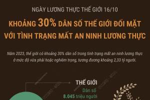 Ngày Lương thực thế giới 16/10: Khoảng 30% dân số thế giới đối mặt với tình trạng mất an ninh lương thực