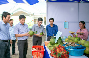 Dự án SACCR: Tổ chức Phiên chợ thương mại nông dân tại Khánh Vĩnh