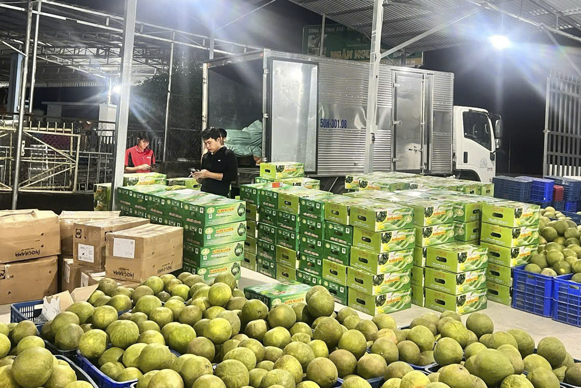 Khánh Vĩnh: Khai mở tiềm năng phát triển kinh tế nông nghiệp