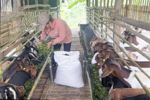 Xã Khánh Trung, huyện Khánh Vĩnh: Nỗ lực thu hút đầu tư