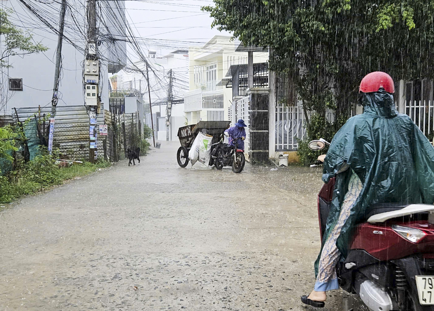 Ông Bùi Văn Chanh - Trưởng phòng Dự báo, Đài Khí tượng Thủy văn khu vực Nam Trung Bộ: Mưa sẽ nhiều hơn các năm gần đây