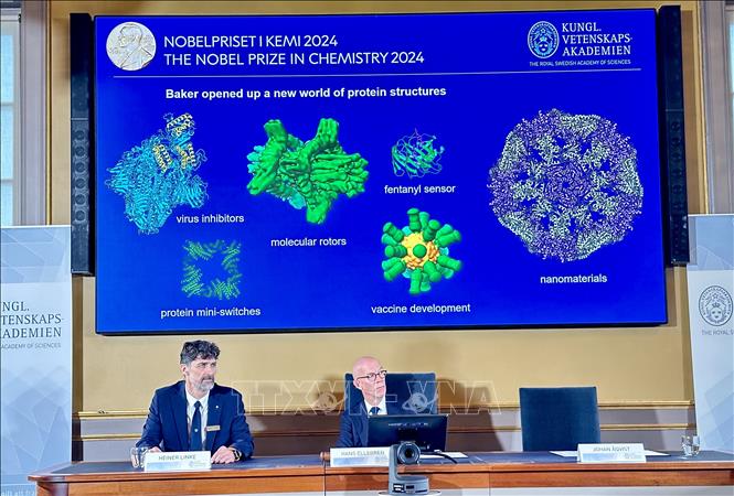 Nobel 2024: Các protein nhân tạo - Chìa khóa cho tương lai