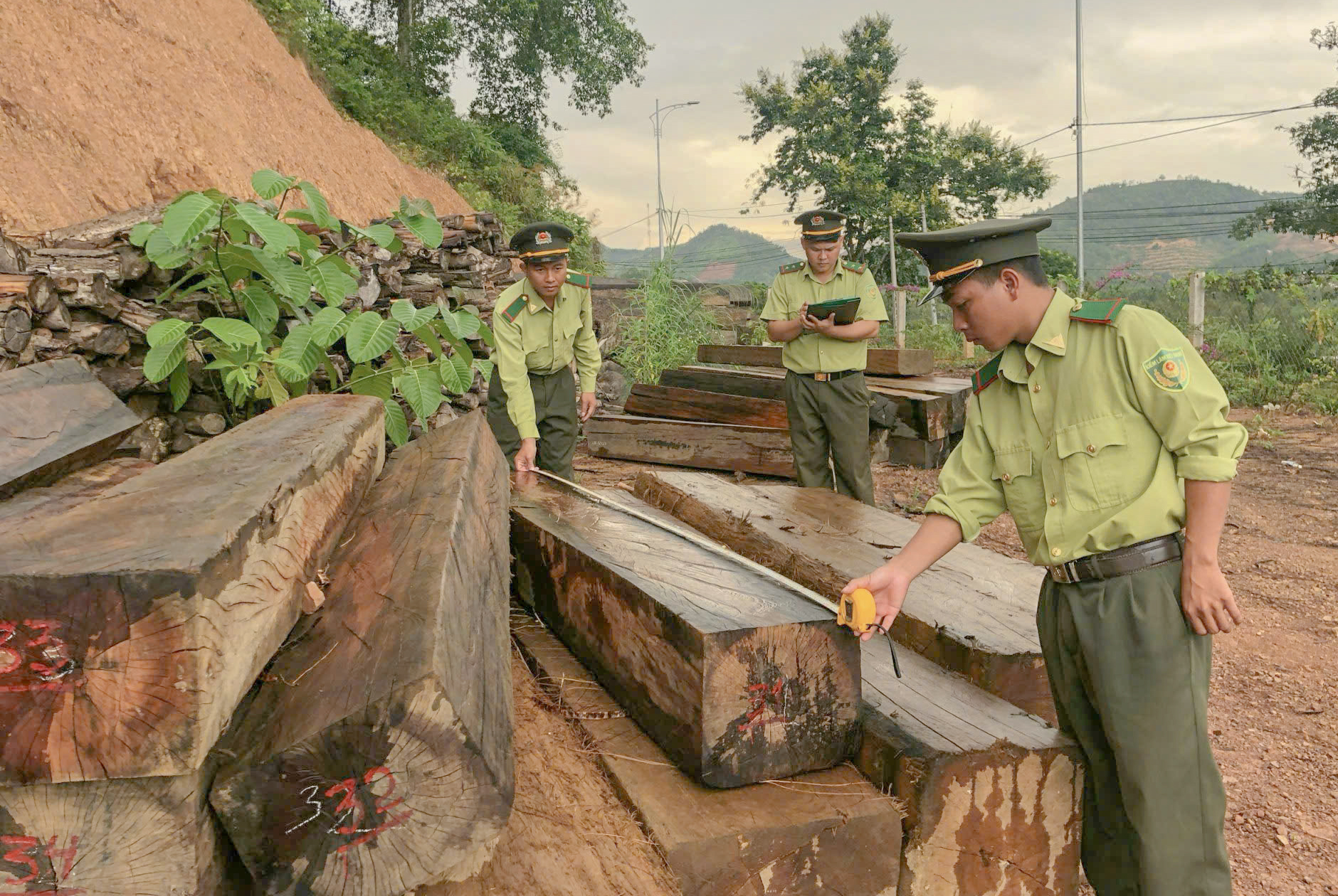 Một số lâm sản đang được tạm giữ tại Hạt Kiểm lâm Khánh Sơn
