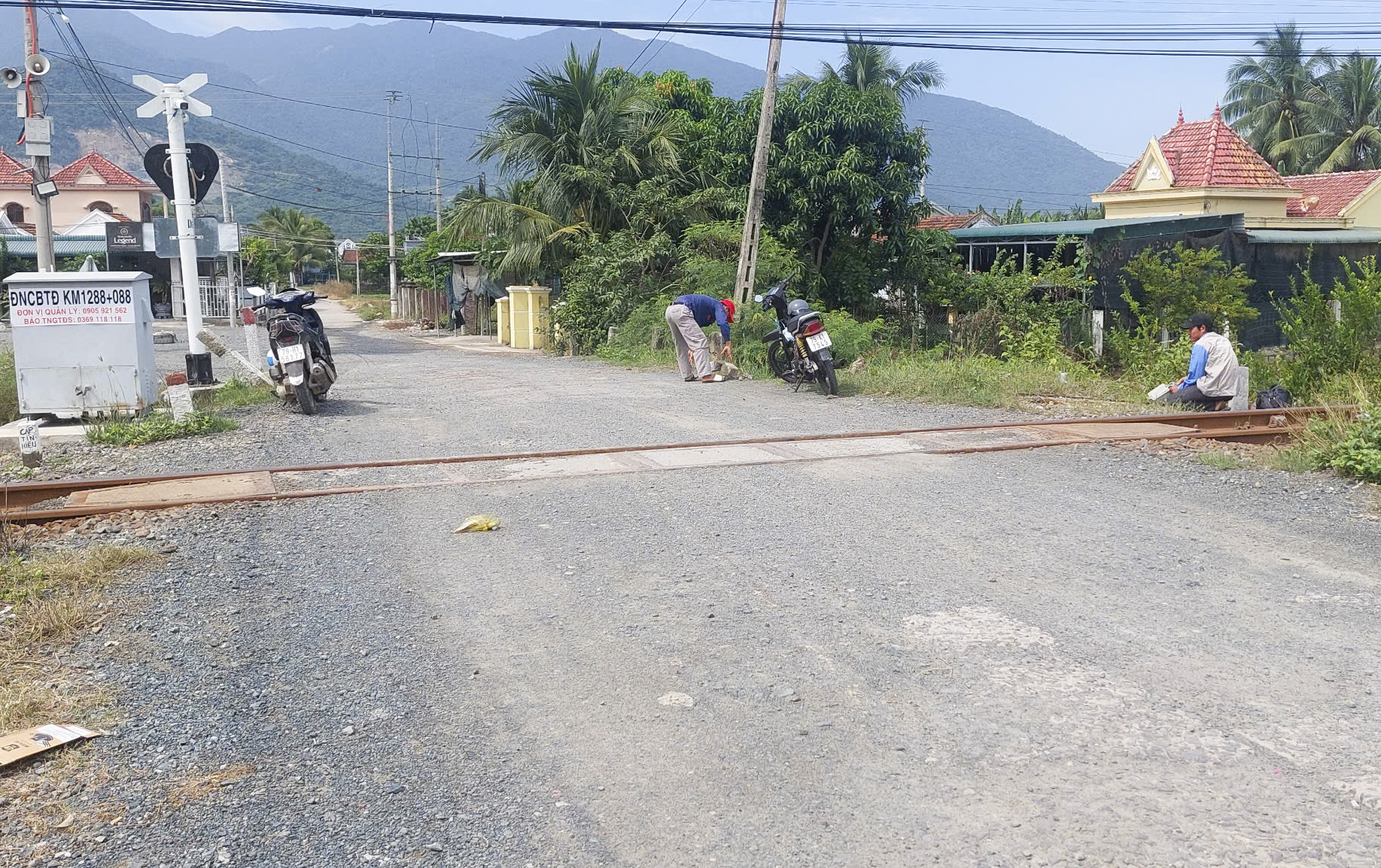 Băng qua đường sắt, 3 con trâu bị tàu tông chết