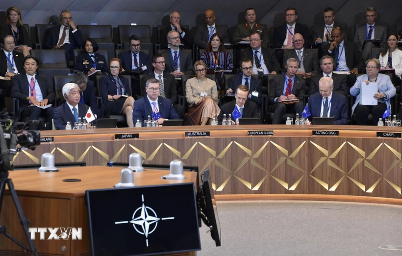 NATO phải thống nhất điều kiện trước khi mời Ukraine gia nhập khối