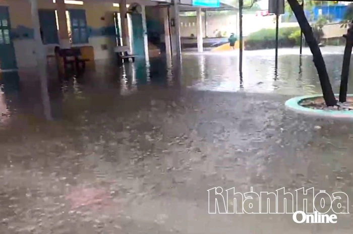 Sẵn sàng phương án học trực tuyến những ngày mưa bão