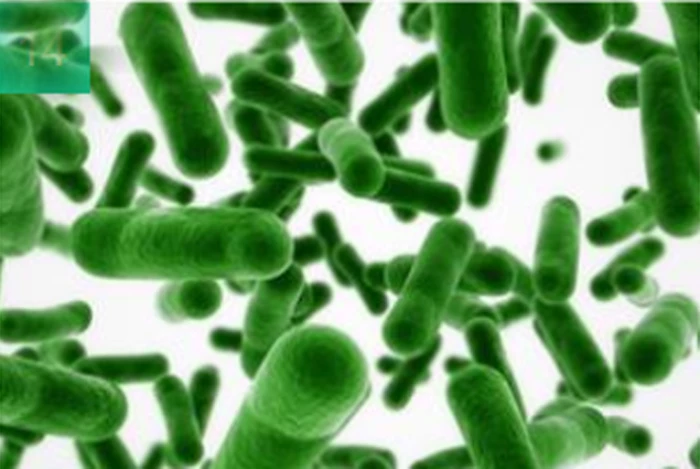 Hy vọng mới cho phi hành gia đến Sao Hỏa