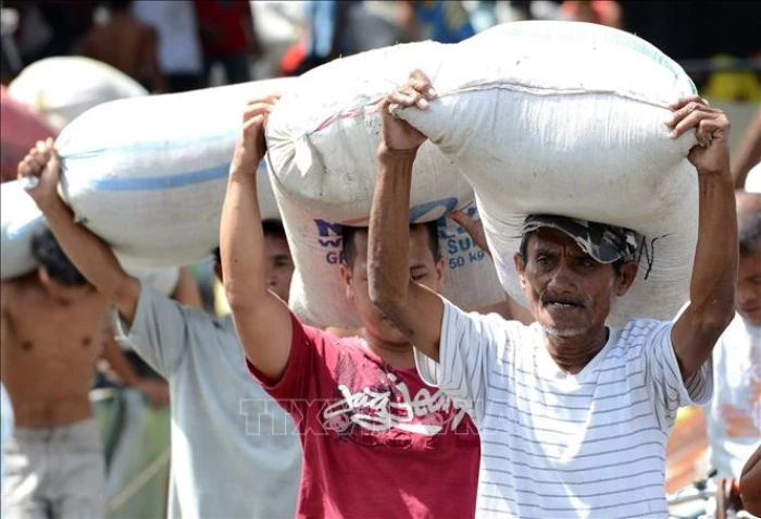 Philippines kéo dài lệnh cấm nhập khẩu gạo đến hết năm 2025