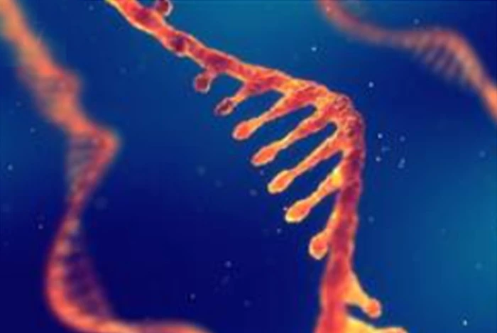 Bước tiến mới trong nghiên cứu thuốc nhắm trúng đích điều trị ung thư