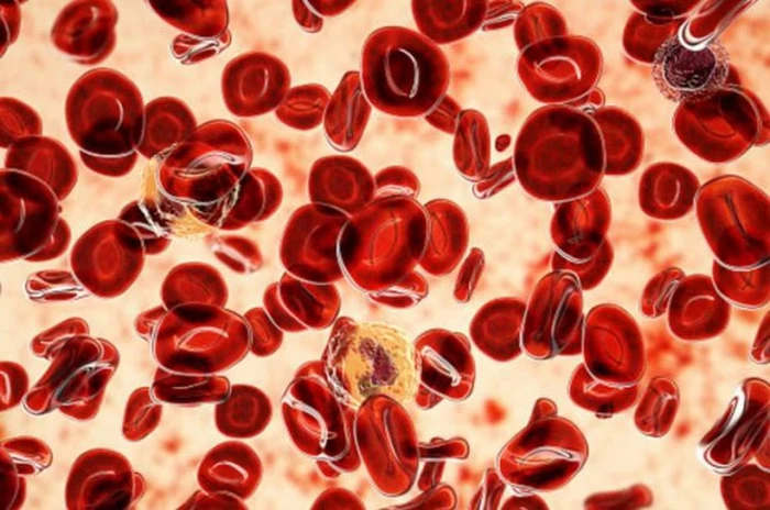 Đột phá: AI phát hiện hàng trăm dấu ấn ung thư "vô hình"