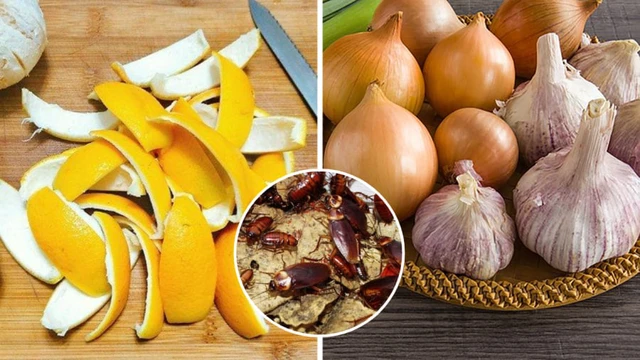 Công dụng bất ngờ của vỏ tỏi trong cuộc sống hàng ngày