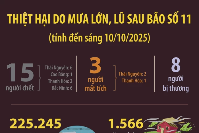 Thiệt hại do mưa lớn, lũ sau bão số 11 (tính đến sáng 10/10/2025)