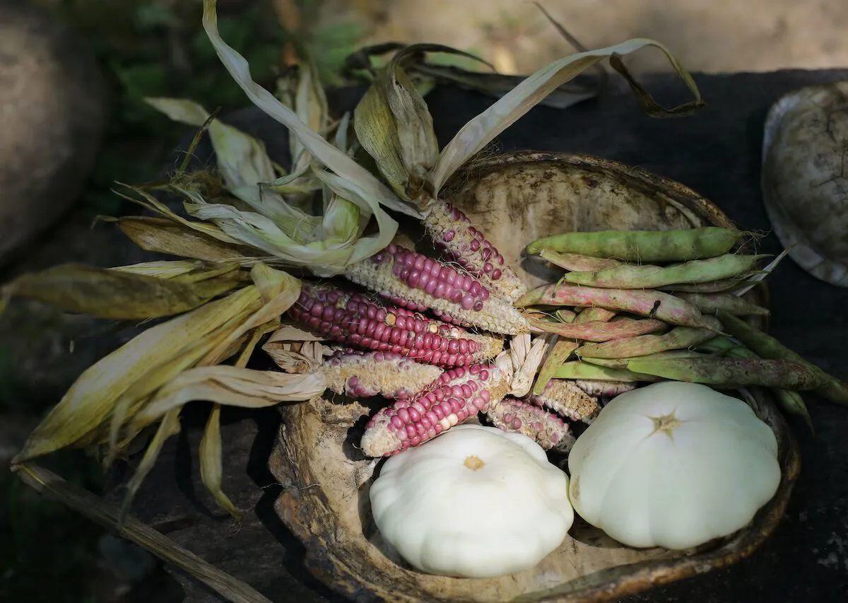 (Ảnh: Shuttestock)