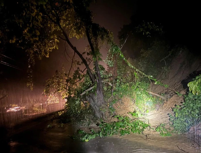Có 14 điểm sạt lở trên tuyến đường nối Khánh Hòa và Lâm Đồng