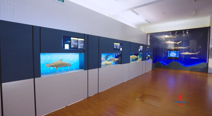 Hành trình kết nối xanh: Hành trình với những điều bền vững