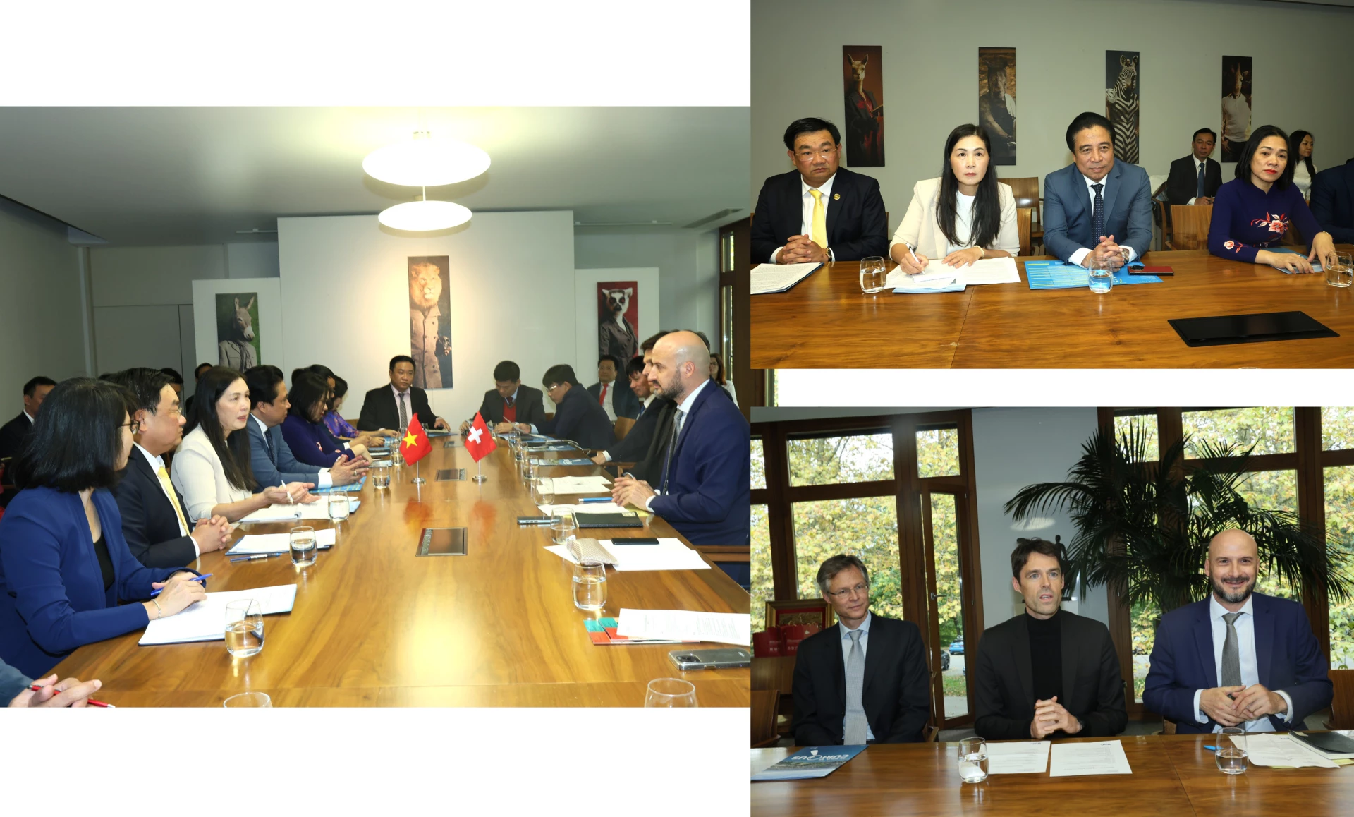 Quang cảnh làm việc với Trường Đại học Lausanne.