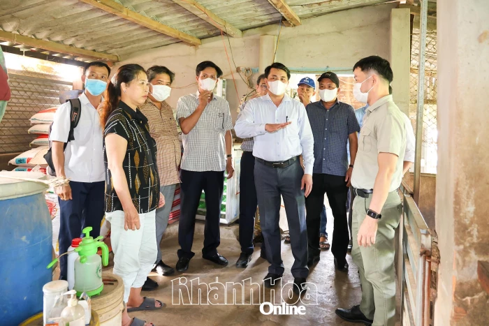 Sở Nông nghiệp và Môi trường Khánh Hòa: Kiểm tra công tác phòng, chống dịch bệnh gia súc, gia cầm tại 2 địa phương