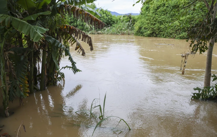 Mưa trên đất liền, gió giật trên biển