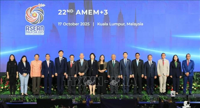 ASEAN thông qua sáng kiến hỗ trợ các dự án lưới điện xuyên biên giới