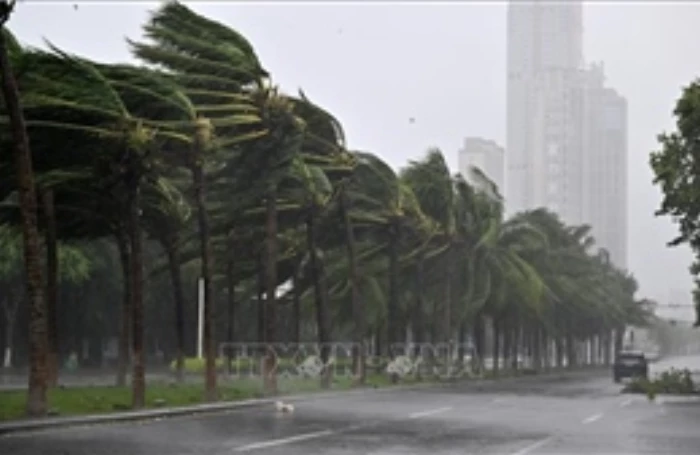 Trung Quốc ban bố cảnh báo cam về bão Matmo