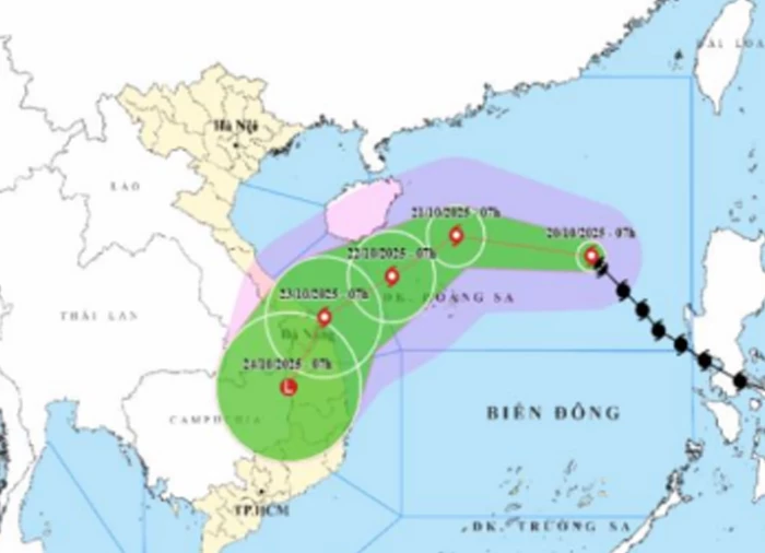 Chủ động ứng phó bão số 12 trên Biển Đông và mưa lớn trên địa bàn tỉnh