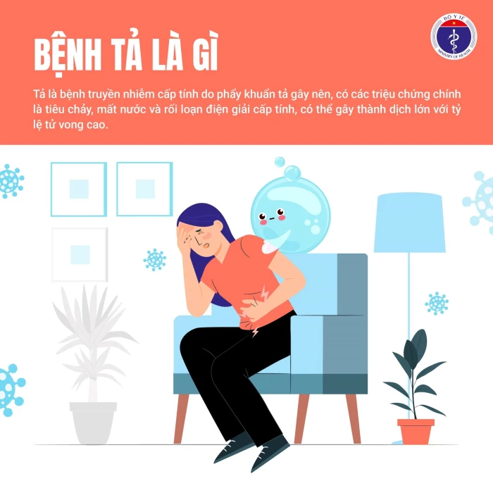 Tăng cường công tác phòng, chống bệnh tả