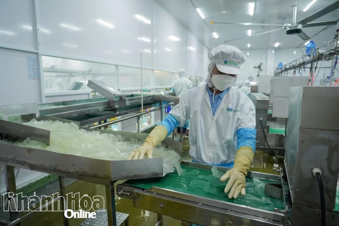 9 tháng, xuất nhập khẩu Khánh Hòa tăng trưởng ổn định