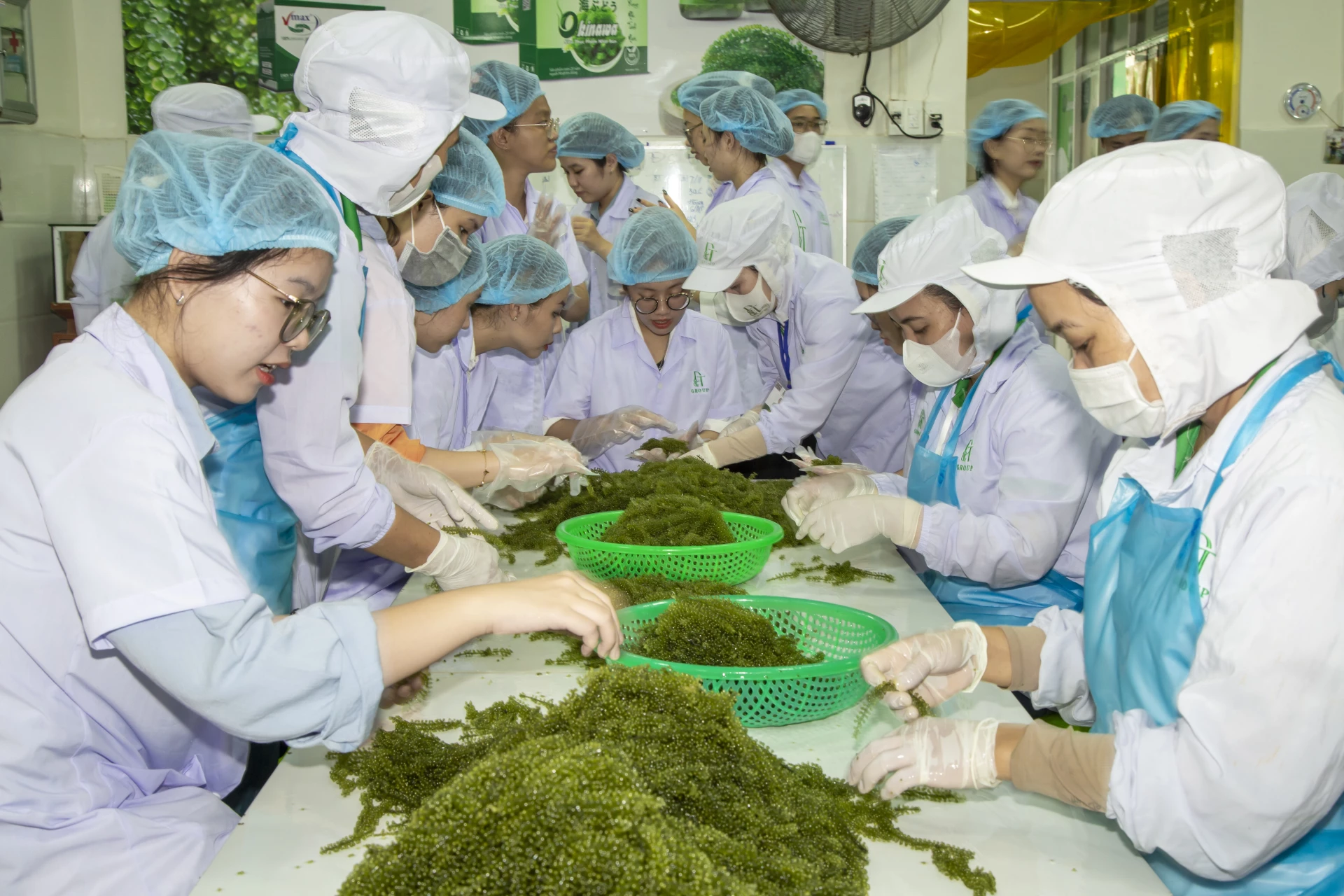 Ảnh: Hồng Đăng