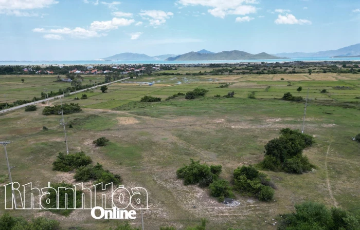 Dự án Khu tái định cư Vạn Thắng, giai đoạn 1 đã lựa chọn được nhà thầu thi công