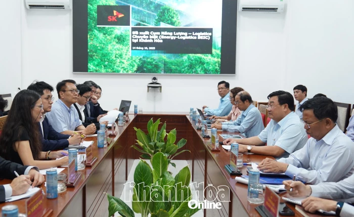 Phó Chủ tịch UBND tỉnh Trịnh Minh Hoàng làm việc với Tập đoàn SK (Hàn Quốc)