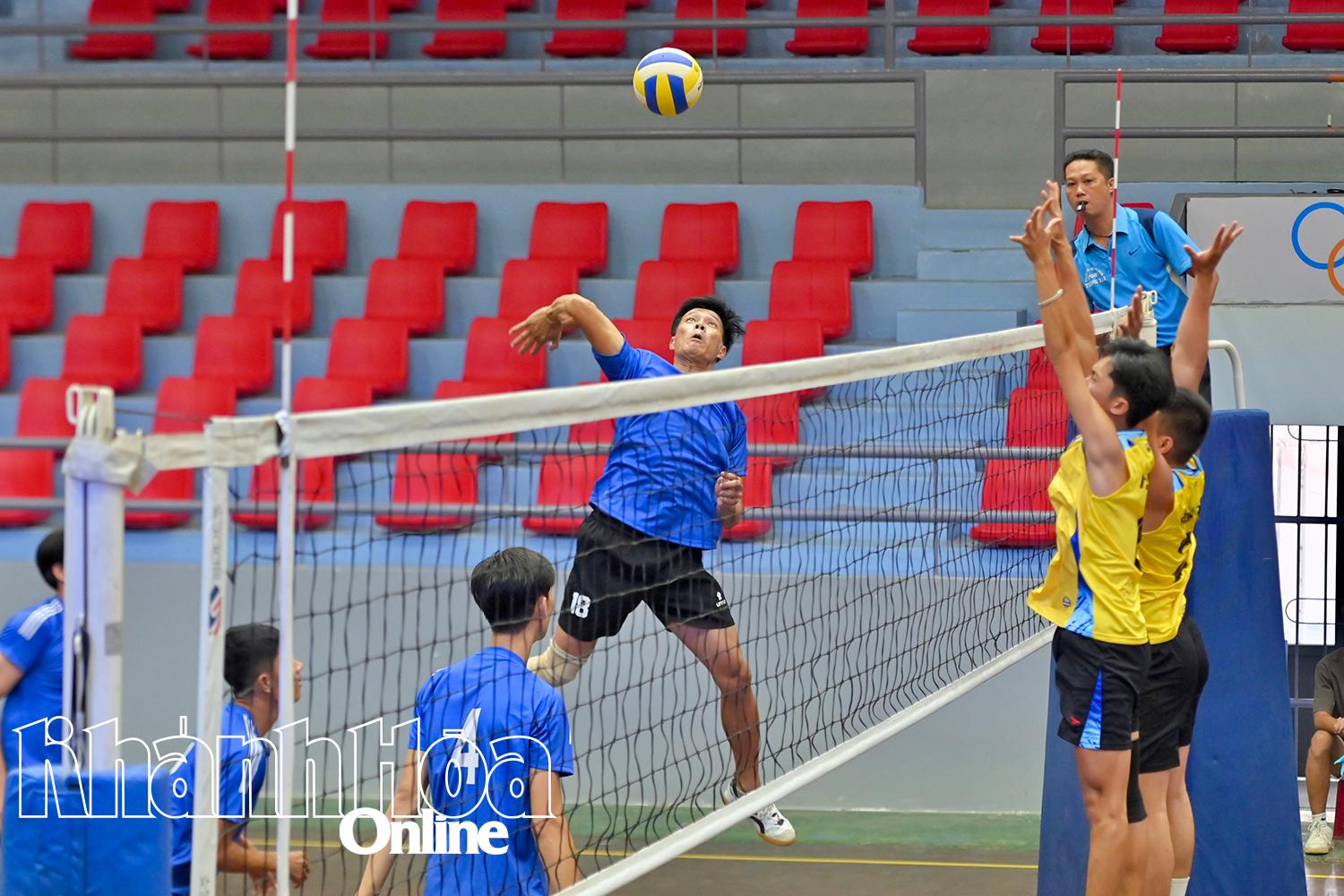 Các đội bóng thi đấu tại giải.