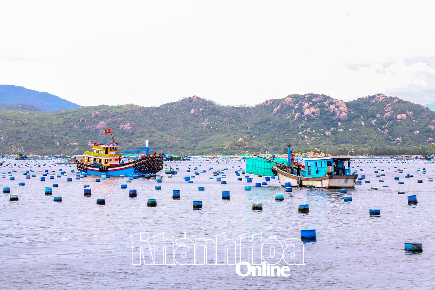 Lồng chìm nuôi trồng thủy sản san sát trên vịnh Cam Ranh ngoài khu vực được phép nuôi.