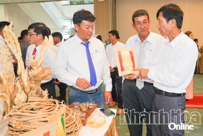 Thương mại điện tử - Đòn bẩy bứt phá kinh tế số  - Kỳ 2: Doanh nghiệp vào “đường đua số”