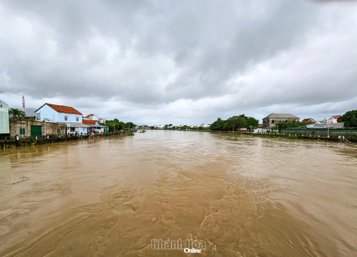 Cảnh báo lũ trên sông Dinh Ninh Hòa
