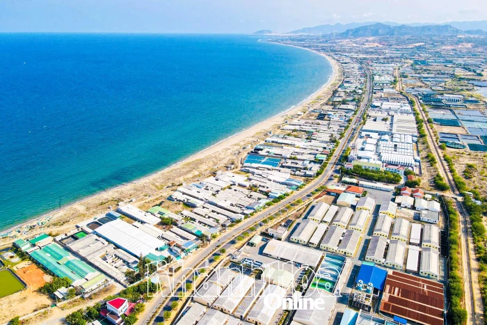 Khanh Hoa affirms the “capital” of brackish water shrimp fry