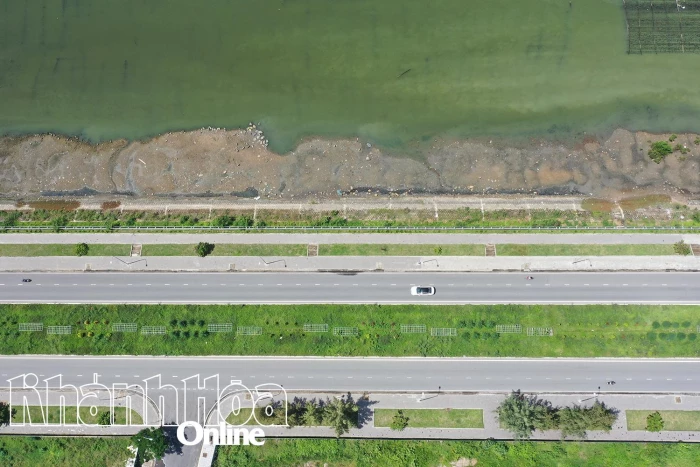 Công trình trồng cây xanh dải phân cách đường Vành đai 2, nhánh phía nam: Sẽ sớm bàn giao quản lý, chăm sóc để phát huy hiệu quả
