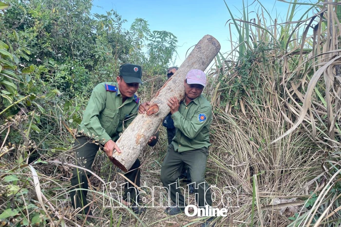 Bảo vệ rừng căm xe ở xã Tây Ninh Hòa