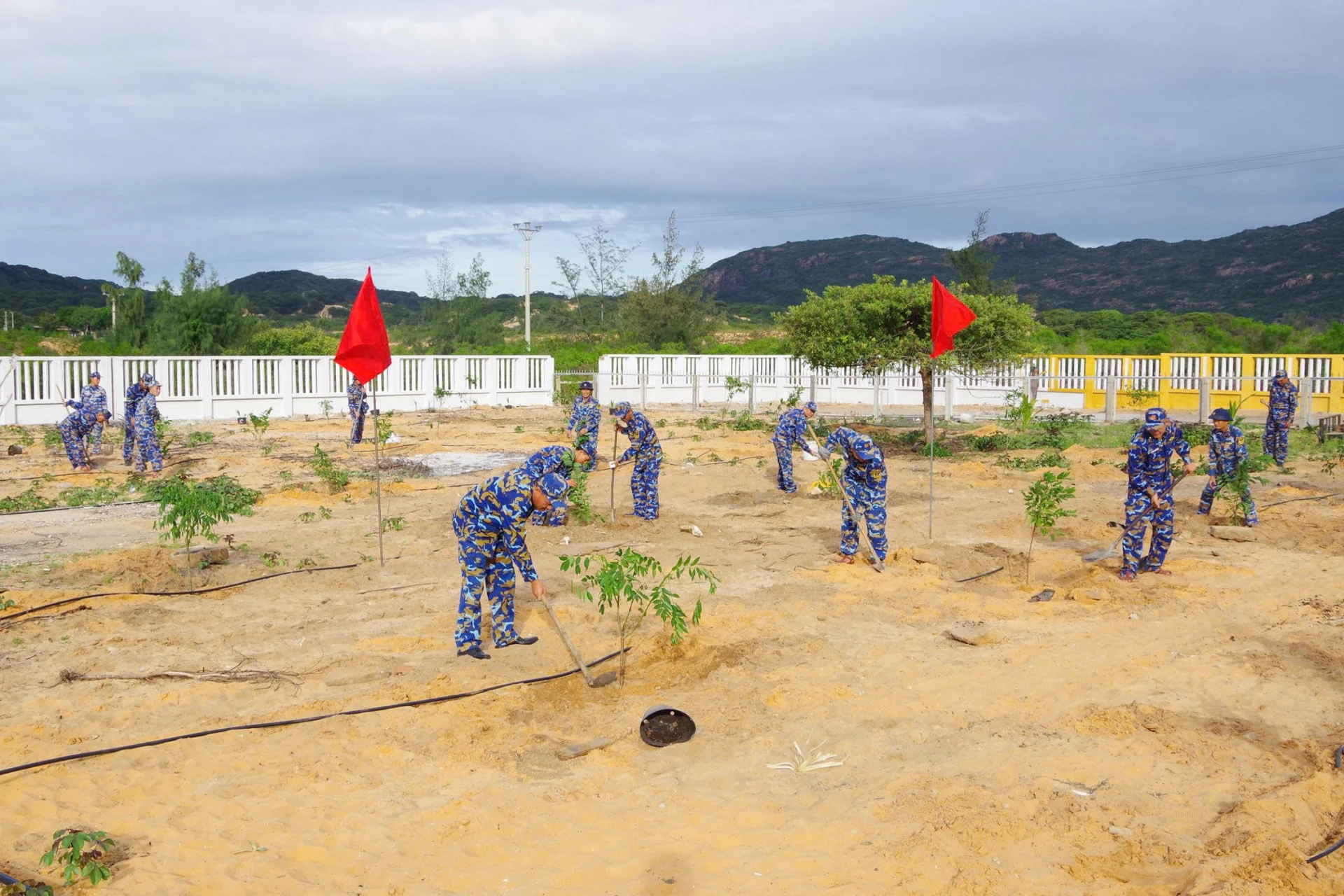 Cán bộ, chiến sĩ trồng cây trên diện tích hơn 3.000m2.