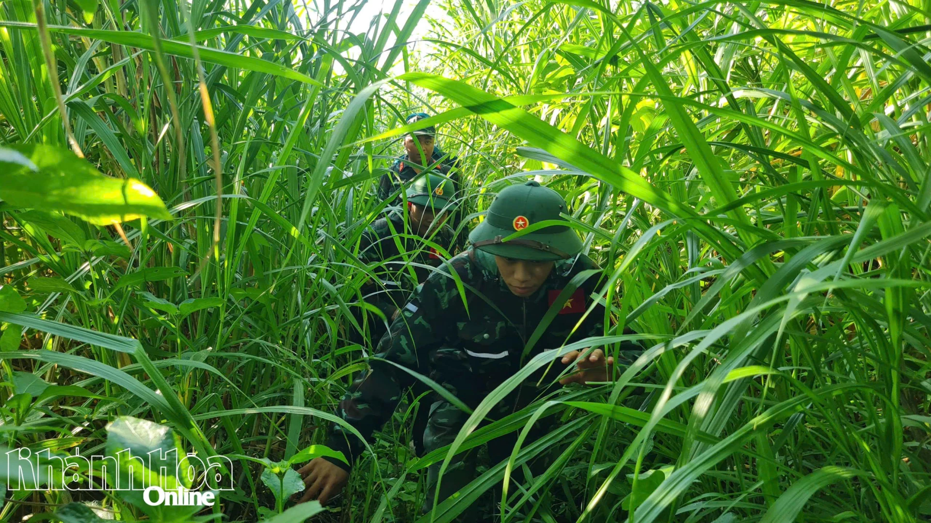 Với các thành viên, việc băng qua thung lũng cỏ tranh còn ướt đẫm sương rừng chắc hẳn là thử thách khó quên!