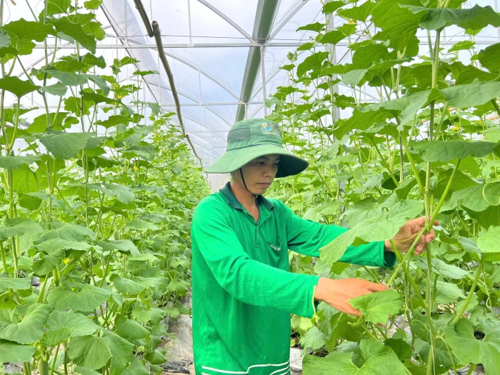 Những bí thư chi đoàn làm kinh tế giỏi