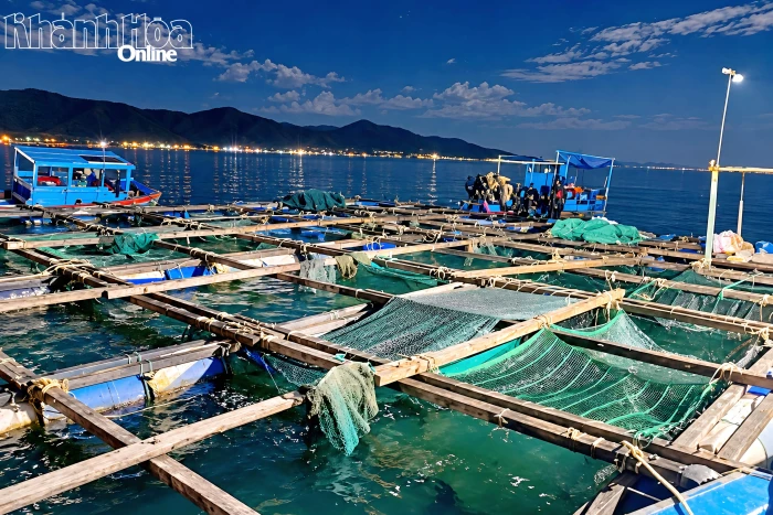 Xã Đại Lãnh: Lập lại trật tự nuôi trồng thủy sản