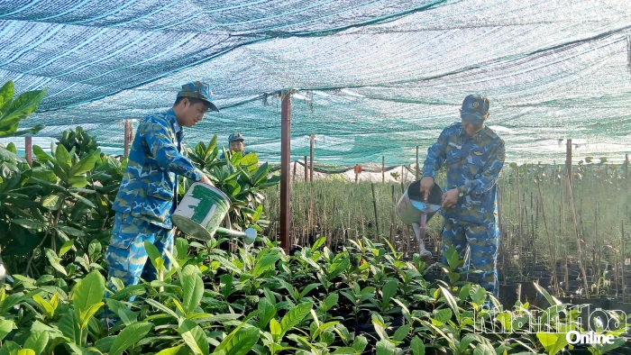 Vun đắp màu xanh cho Trường Sa