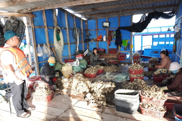 Xã Vạn Ninh yêu cầu tháo dỡ, di dời lồng bè nuôi trồng thủy sản không đúng quy định
