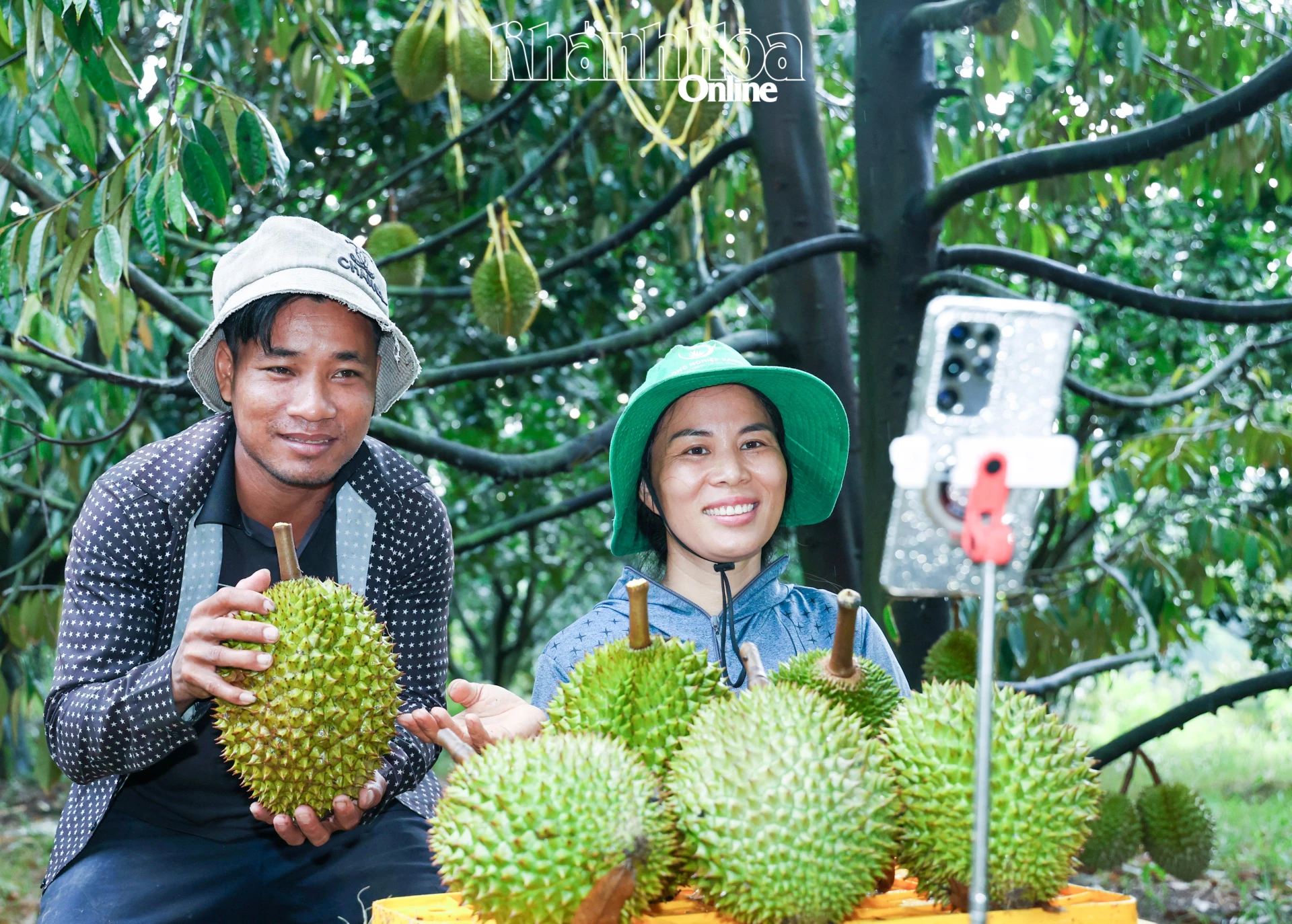 Nông dân xã Bắc Khánh Vĩnh livestream bán nông sản tại vườn. Ảnh: CÔNG ĐỊNH