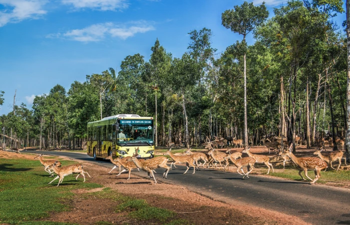 ​​​​​​​Nắm giữ “kỷ lục kép” thế giới - Vinpearl Safari Phú Quốc “khủng” cỡ nào?