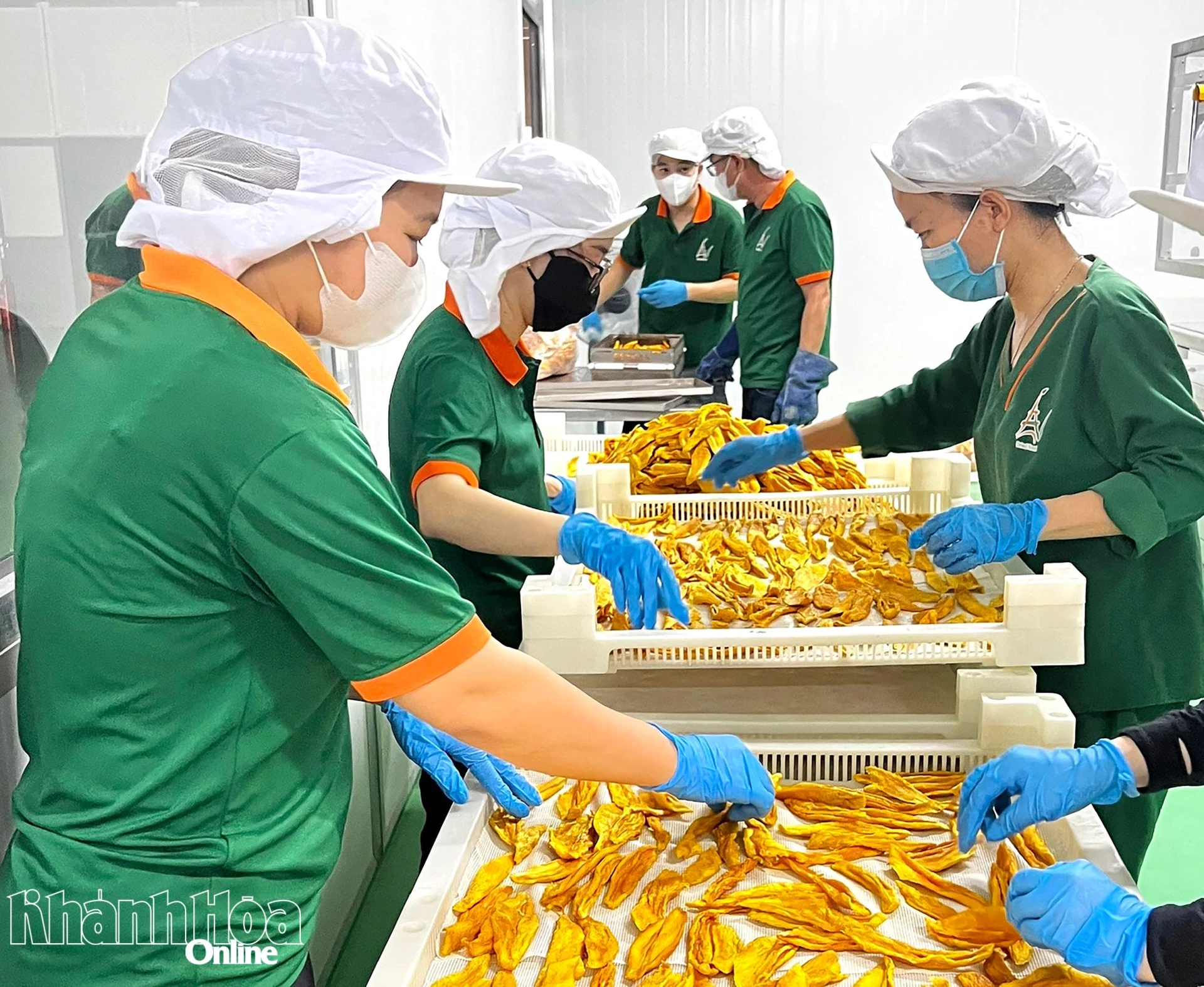 Hoạt động sản xuất tại Công ty Anvan Food.