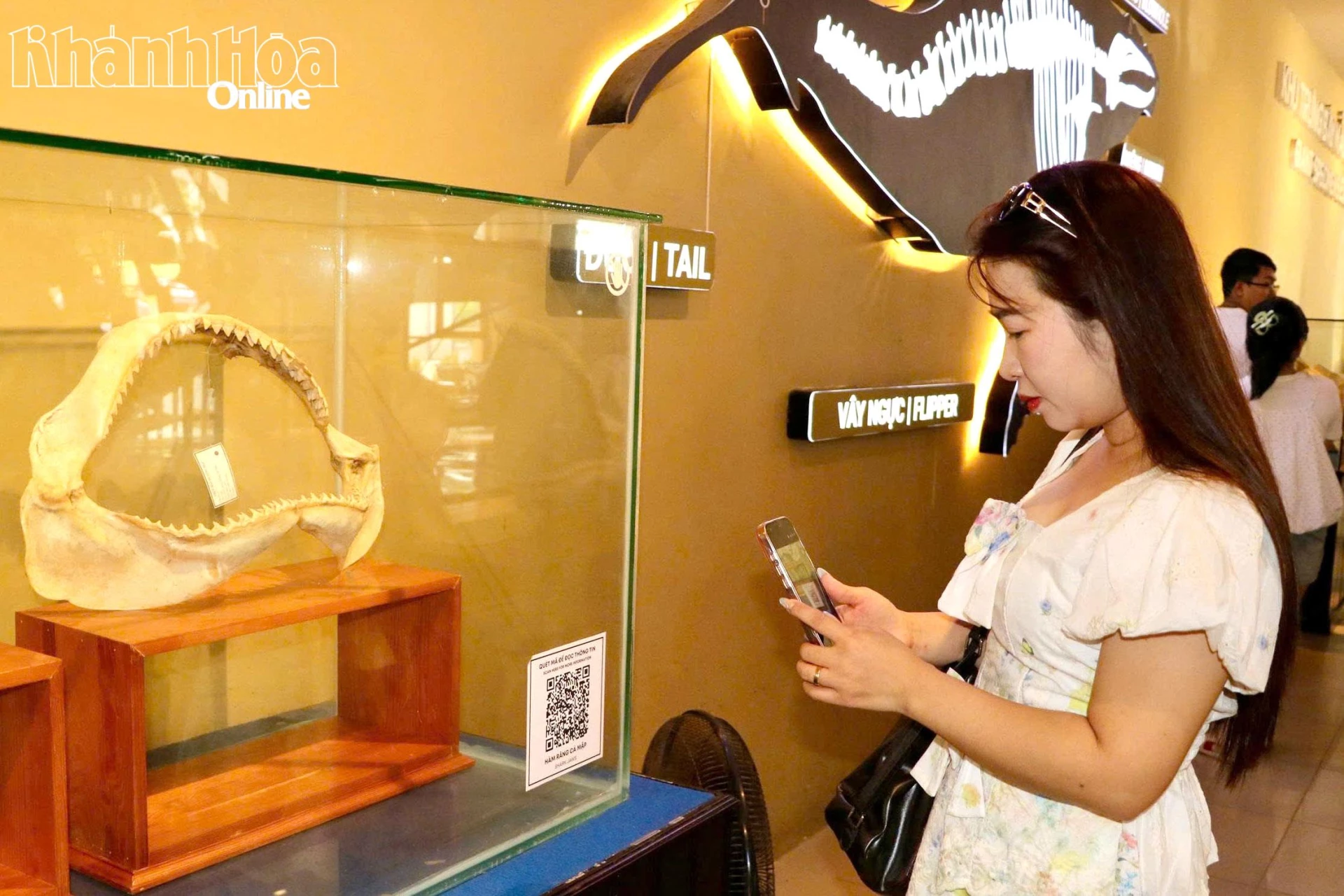 Du khách tham quan Bảo tàng Hải dương học quét mã QR để tìm hiểu các mẫu vật trưng bày.