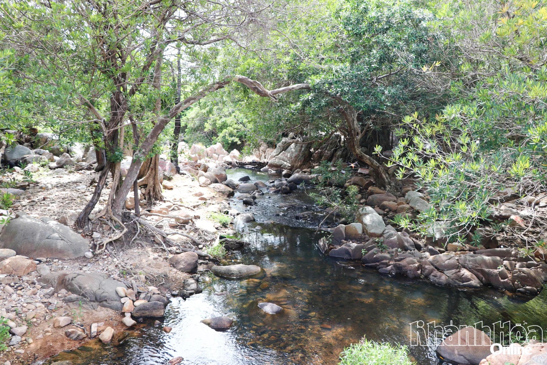 Khung cảnh mát lành 
tại suối Lồ Ô.