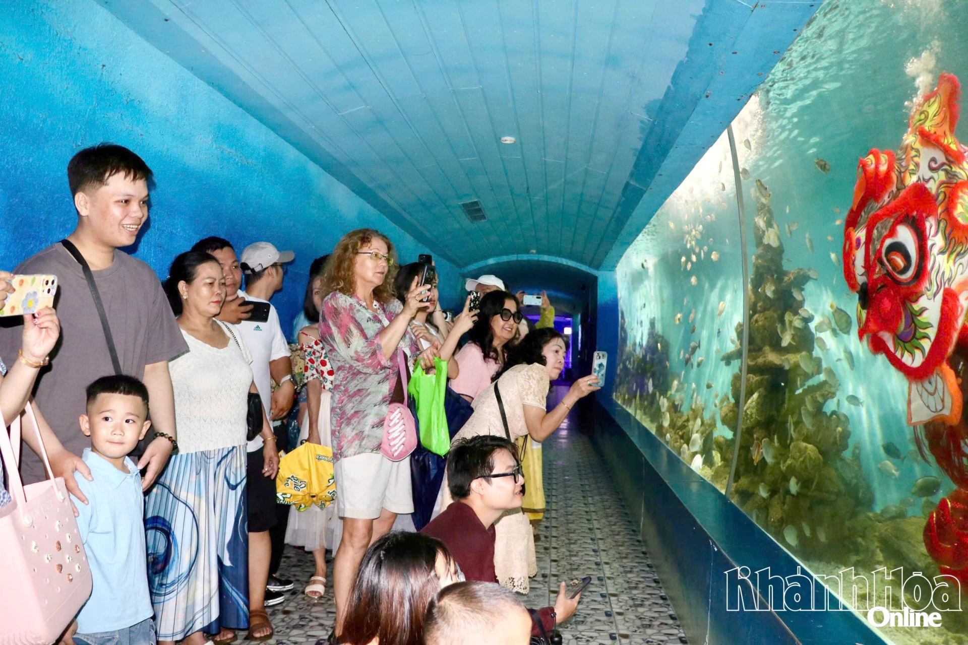 Đông đảo du khách tham quan Bảo tàng Hải dương học.