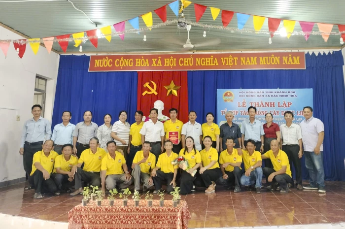 Ra mắt Tổ hợp tác trồng cây dược liệu xã Bắc Ninh Hòa